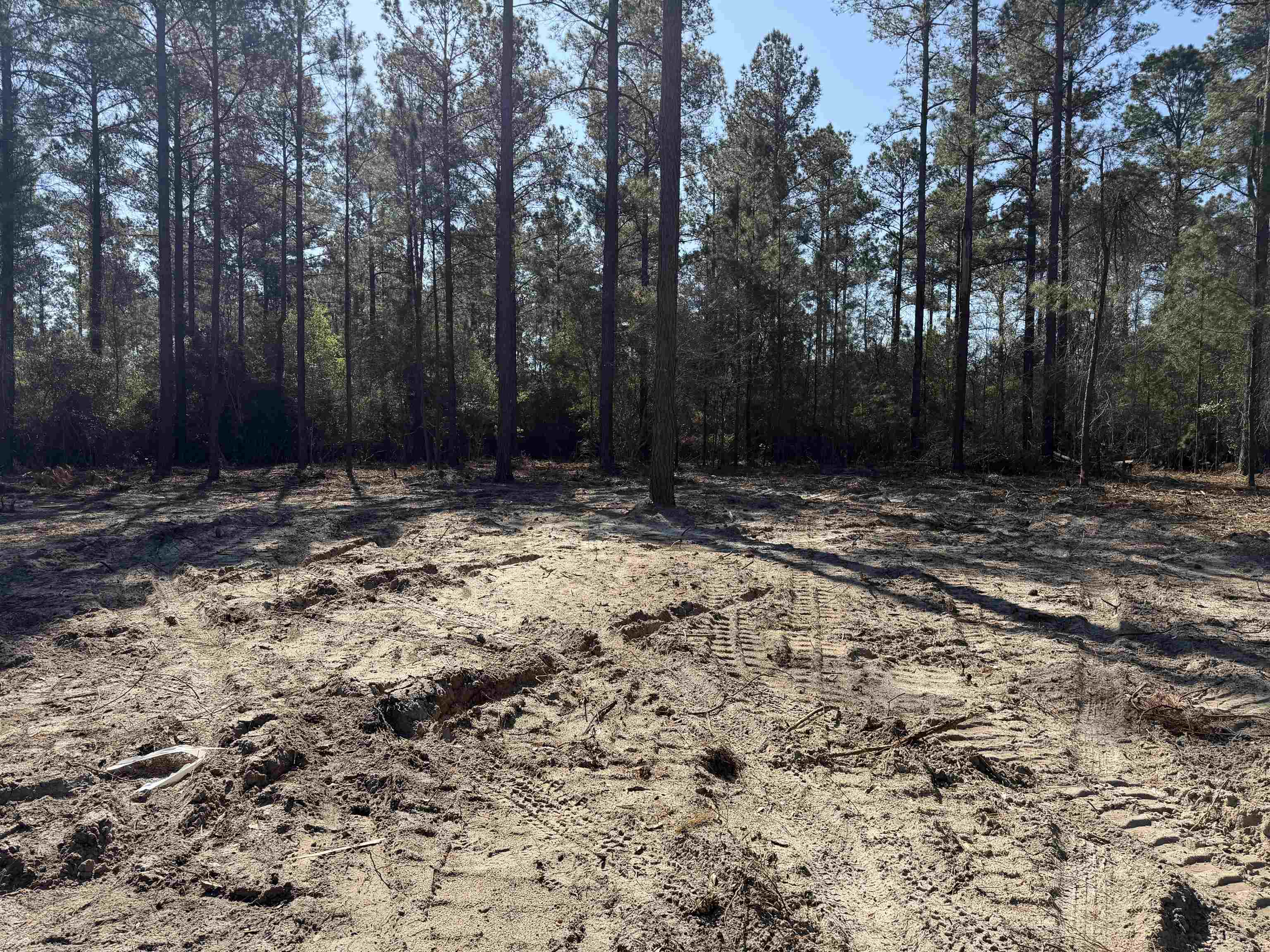 265 Apple Valley Road Loris, SC 29569 - Photo 31 of 32