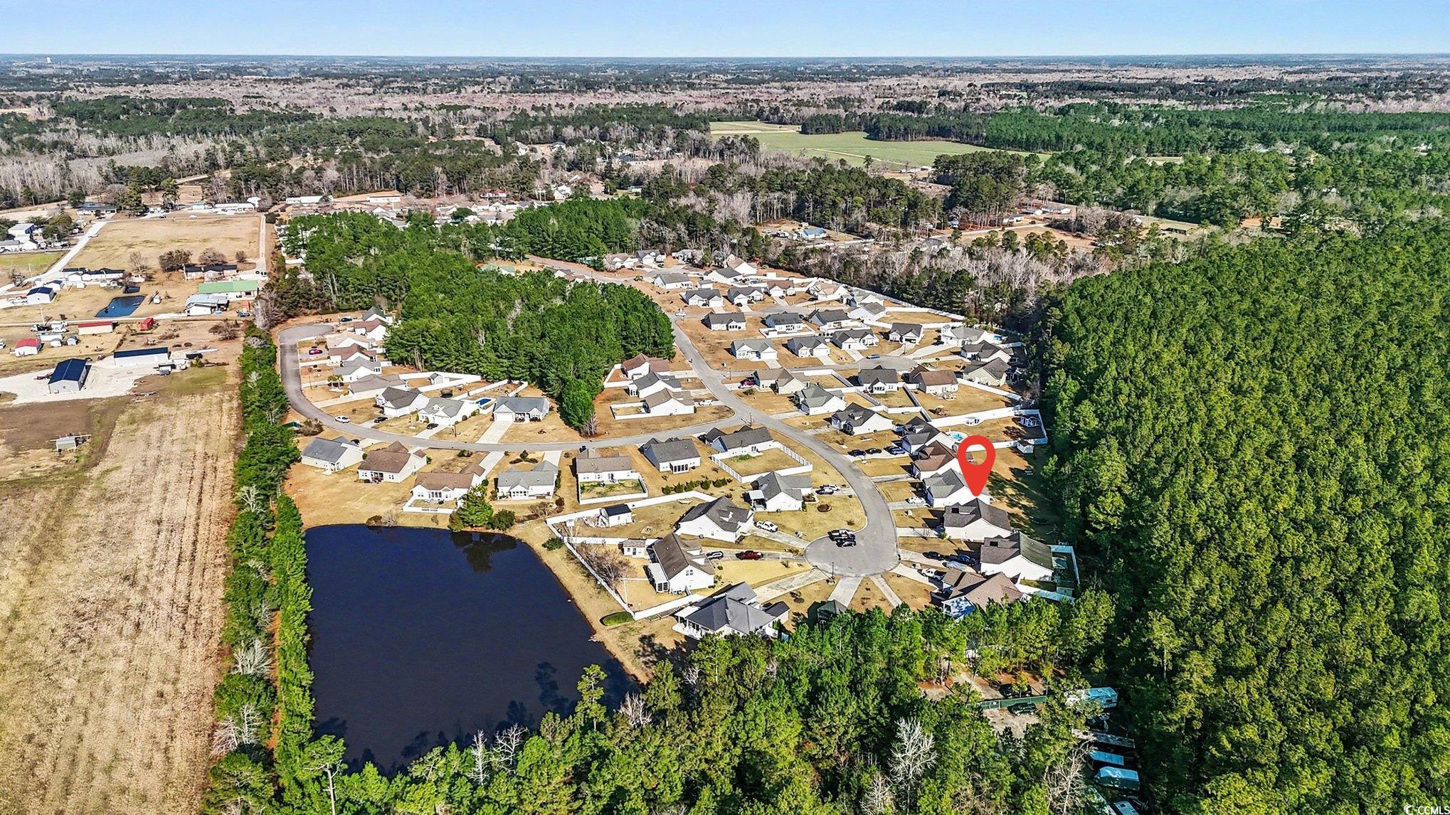 201 Family Farm Road Conway, SC 29526 - Photo 31 of 33 Wooded privacy behind the home