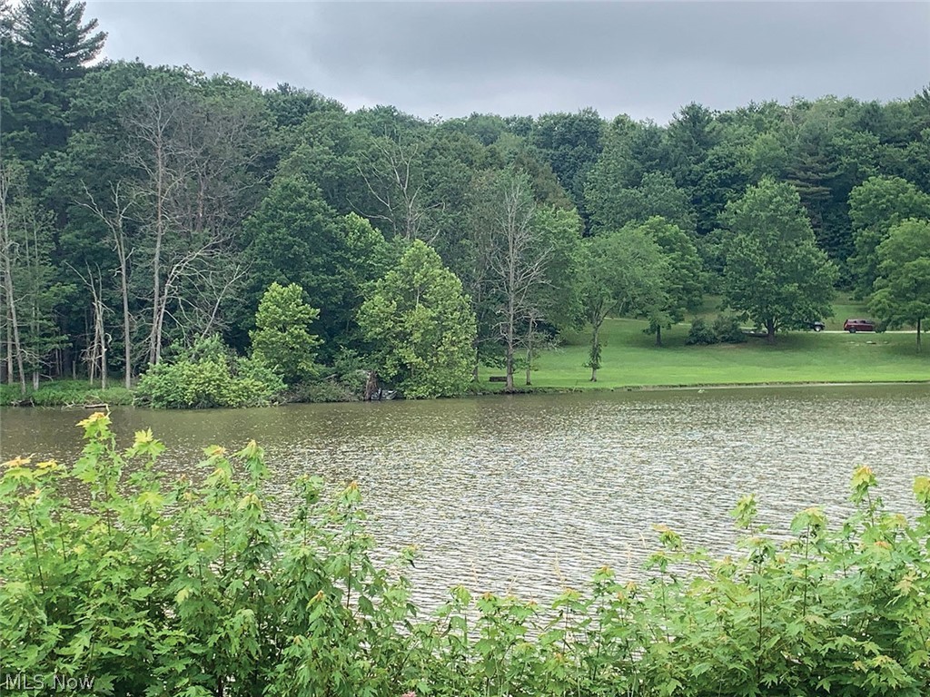 1006 Avalon Road Southwest Dellroy, OH 44620 - Photo 11 of 14