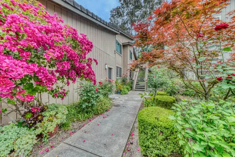 a flower plants sitting in front of a house