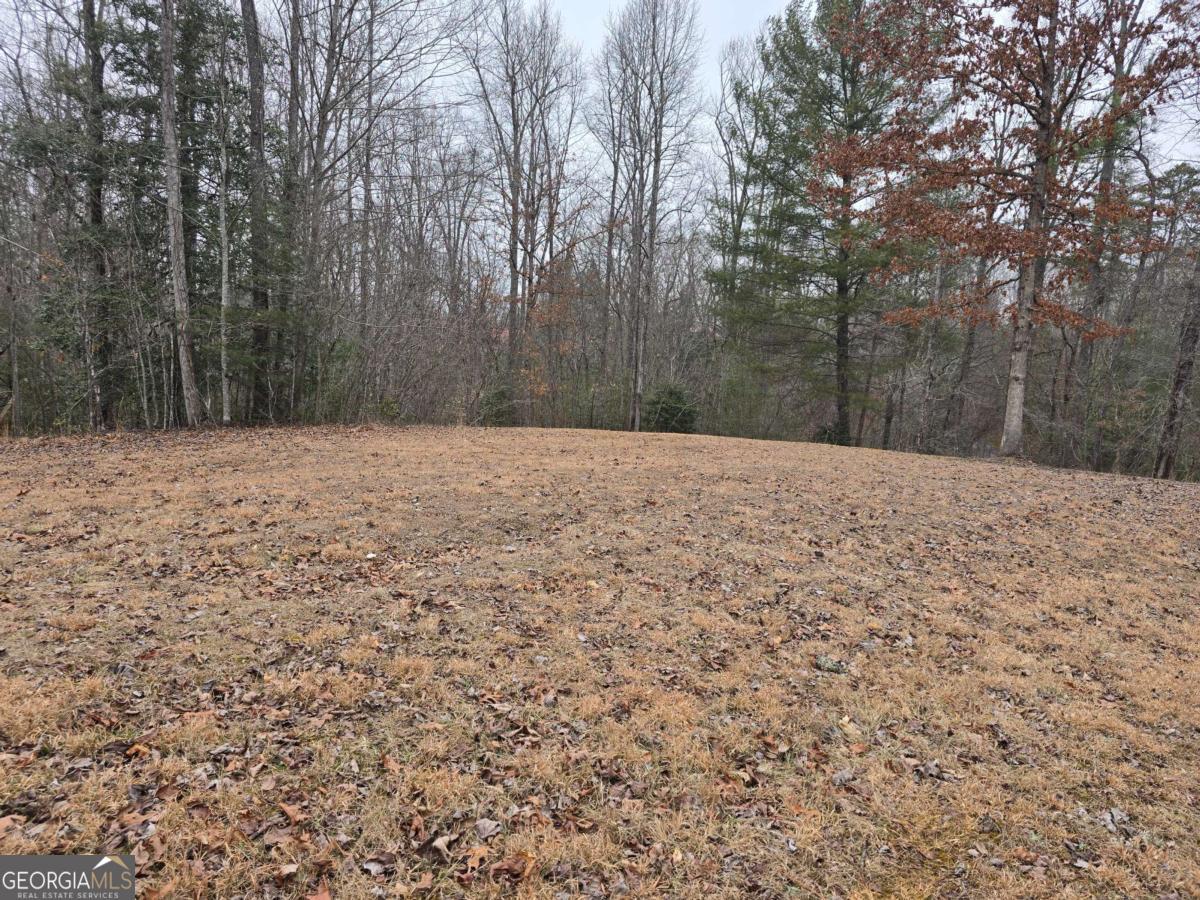 Lot 32 Ridges At Mill Creek Murphy, NC 28906 - Photo 9 of 18