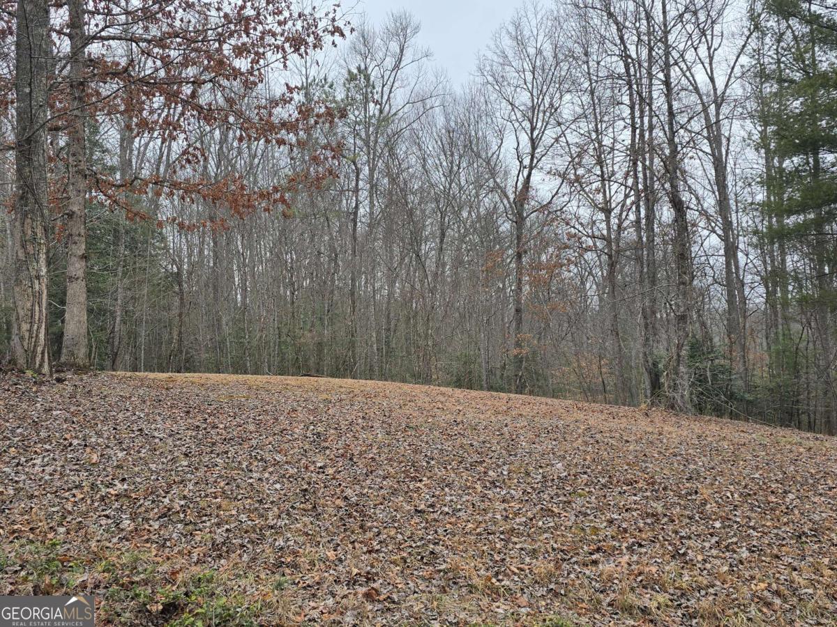 Lot 32 Ridges At Mill Creek Murphy, NC 28906 - Photo 10 of 18