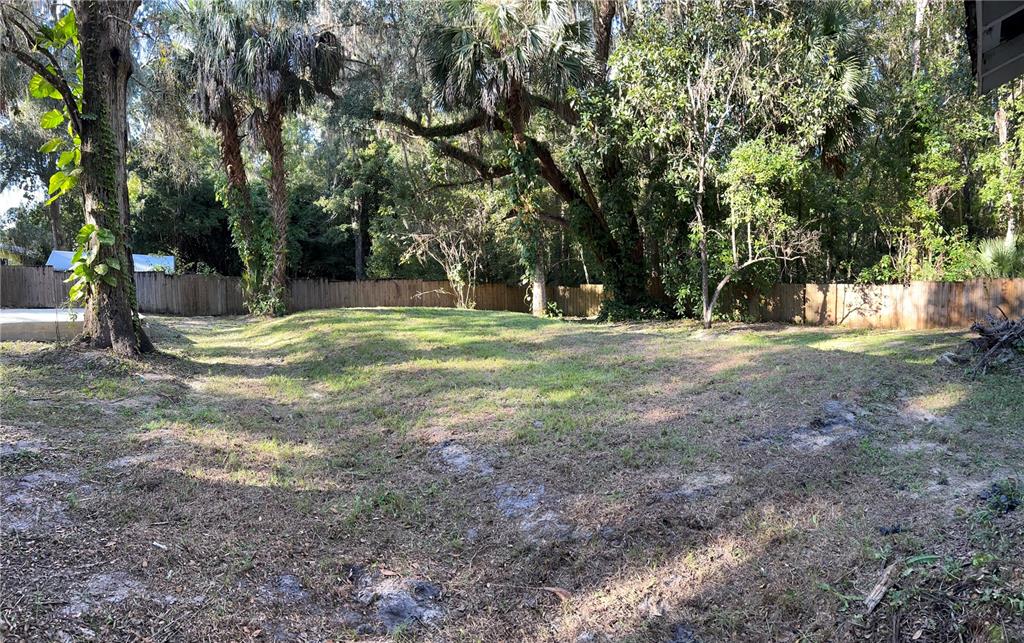 134 Weerts Road San Mateo, FL 32187 - Photo 28 of 32 a view of outdoor space with trees