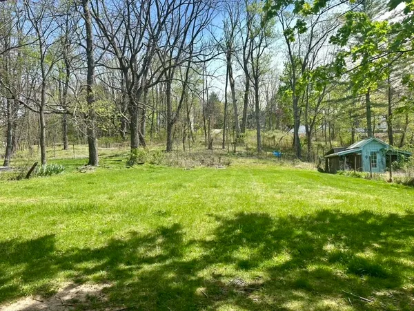 a view of a backyard with large trees