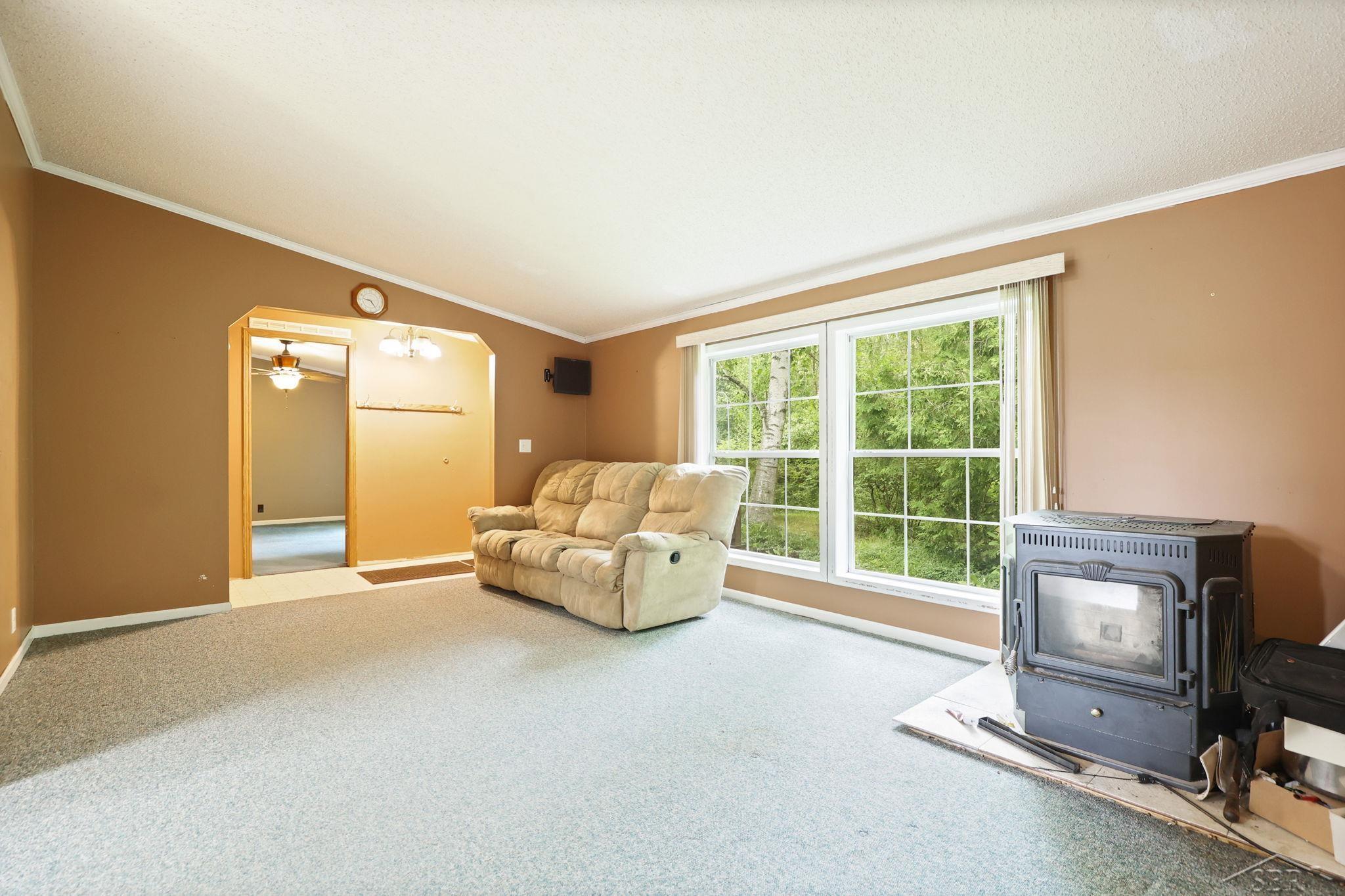 445 West Snover Road Mayville, MI 48744 - Photo 5 of 31