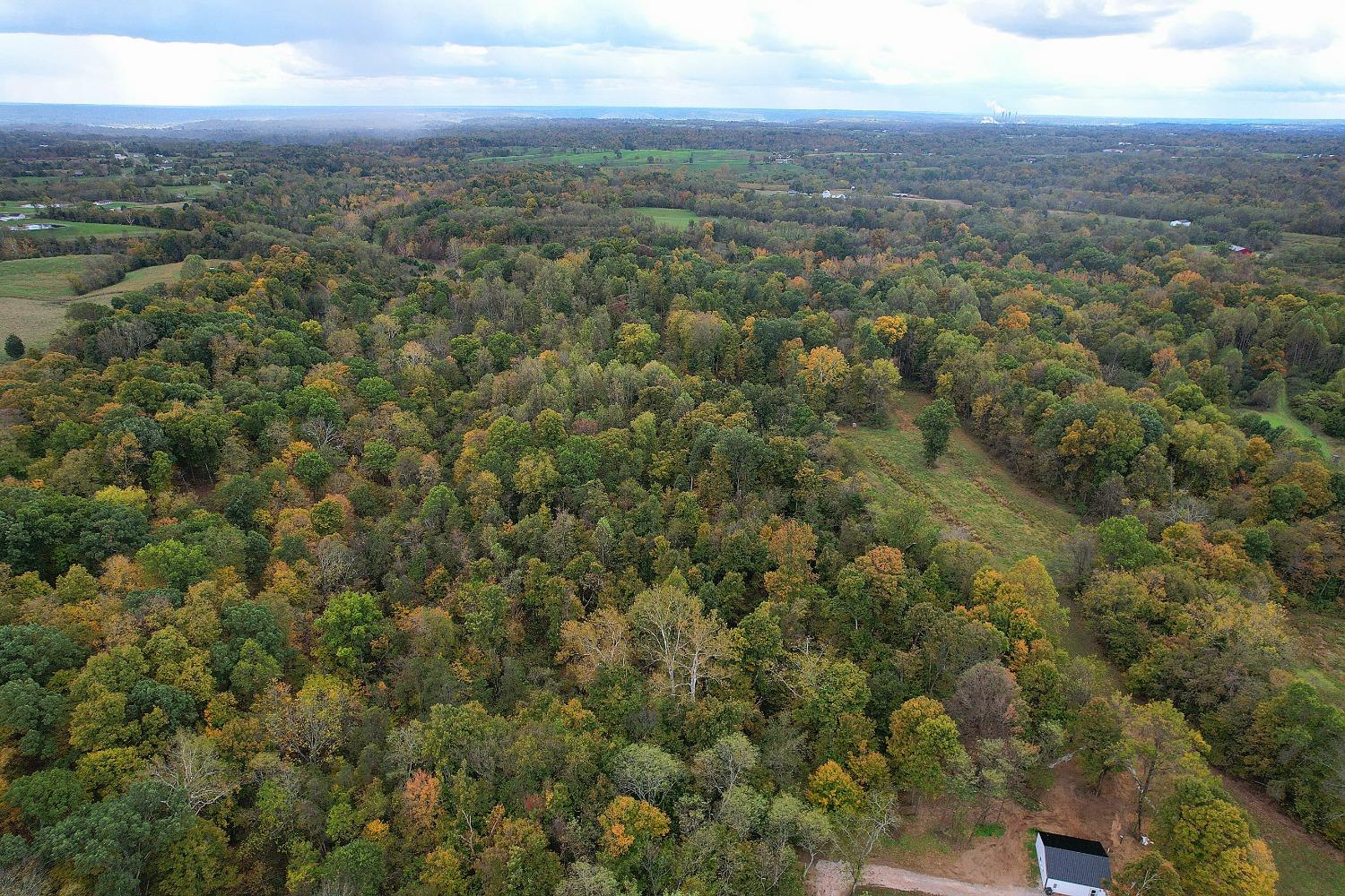 0 McCrearys Ridge Road Florence, IN 47020 - Photo 8 of 25