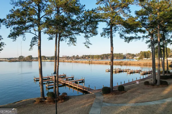 a view of a lake with a palm tree