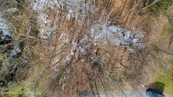 a view of a yard with a trees