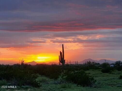 8537 North Hapa Road Florence, AZ 85132 - Photo 2 of 13 IMG_9229