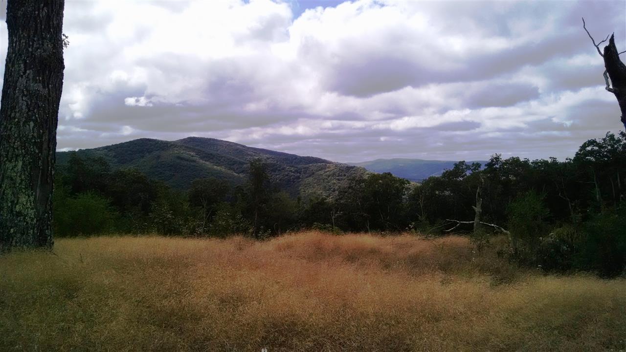 Tbd Jack Mountain Road Monterey, VA 24465 - Photo 1 of 6