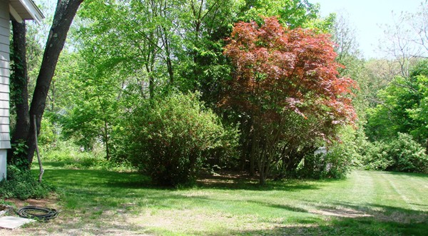 64 Parker Road Lancaster, MA 01523 - Photo 8 of 8