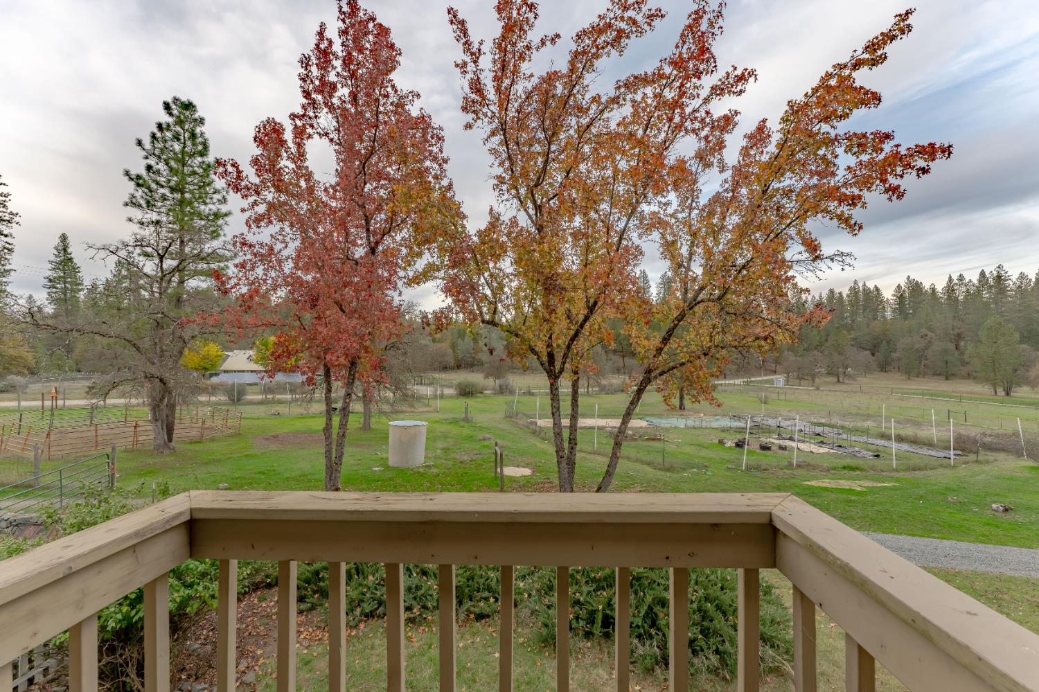 12987 Hidden Valley Road Grass Valley, CA 95949 - Photo 18 of 36 a view of outdoor space with deck and yard