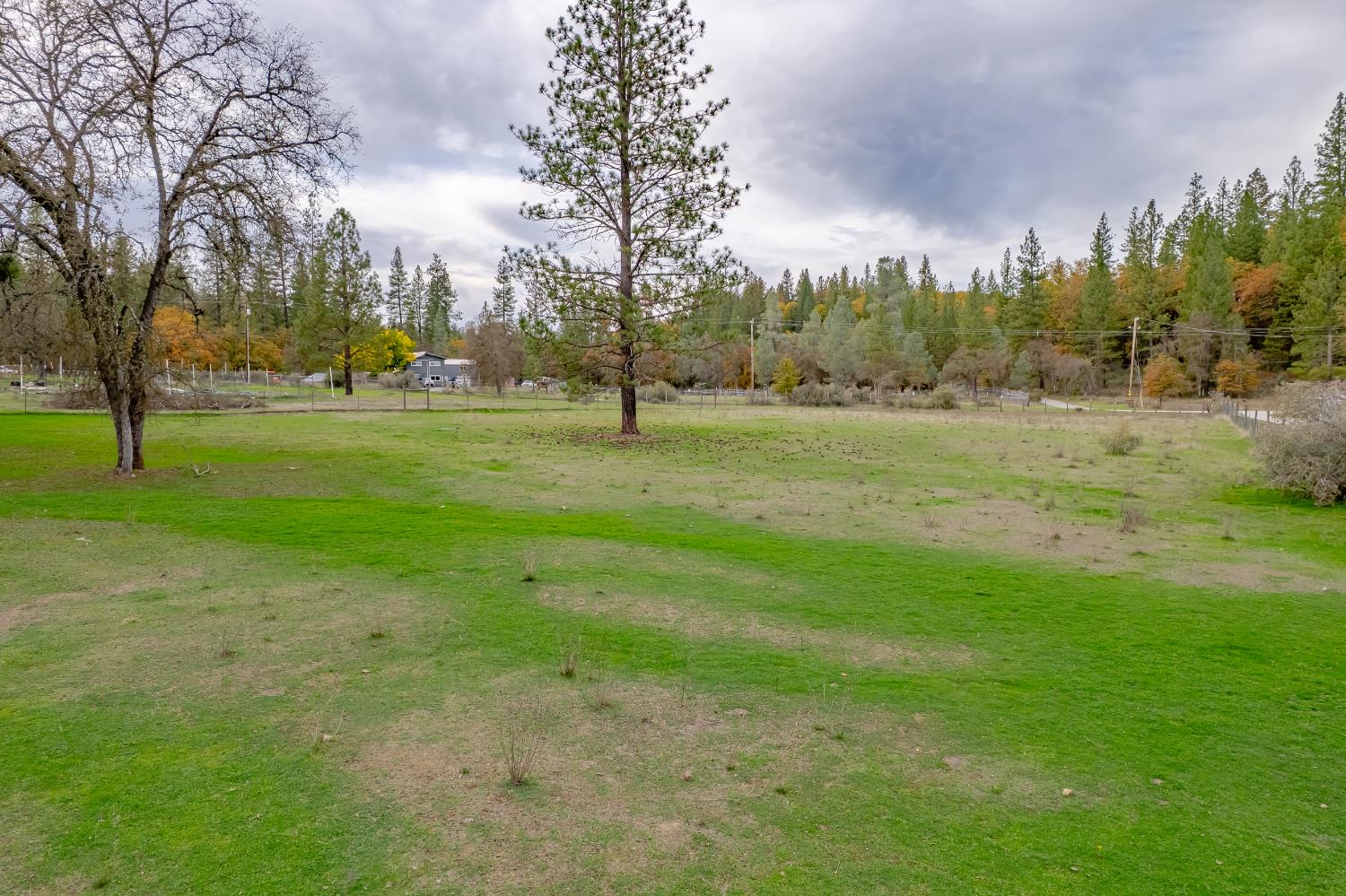 12987 Hidden Valley Road Grass Valley, CA 95949 - Photo 21 of 36 a view of grassy field with trees