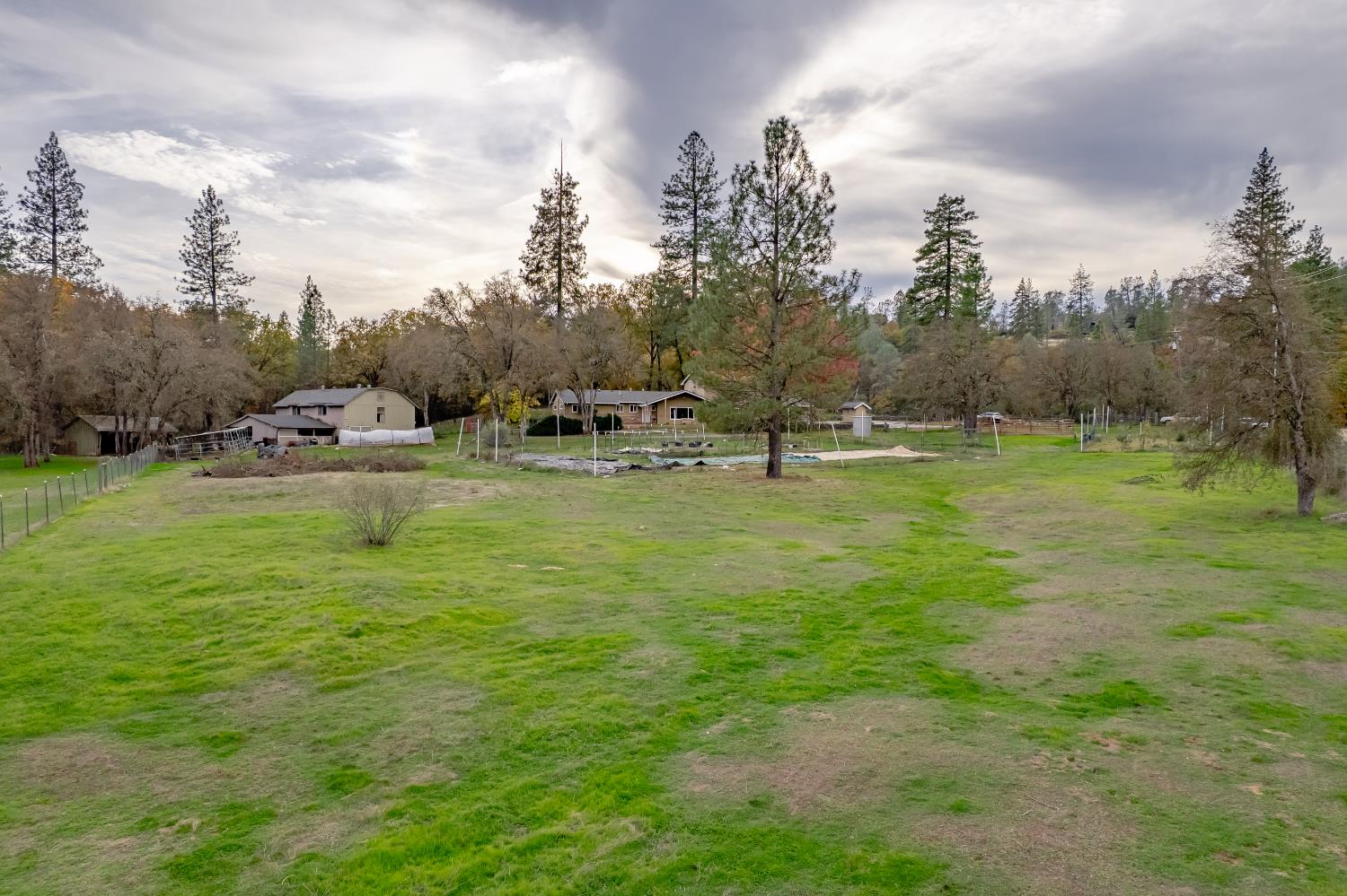12987 Hidden Valley Road Grass Valley, CA 95949 - Photo 24 of 36 a view of large trees with lawn chairs