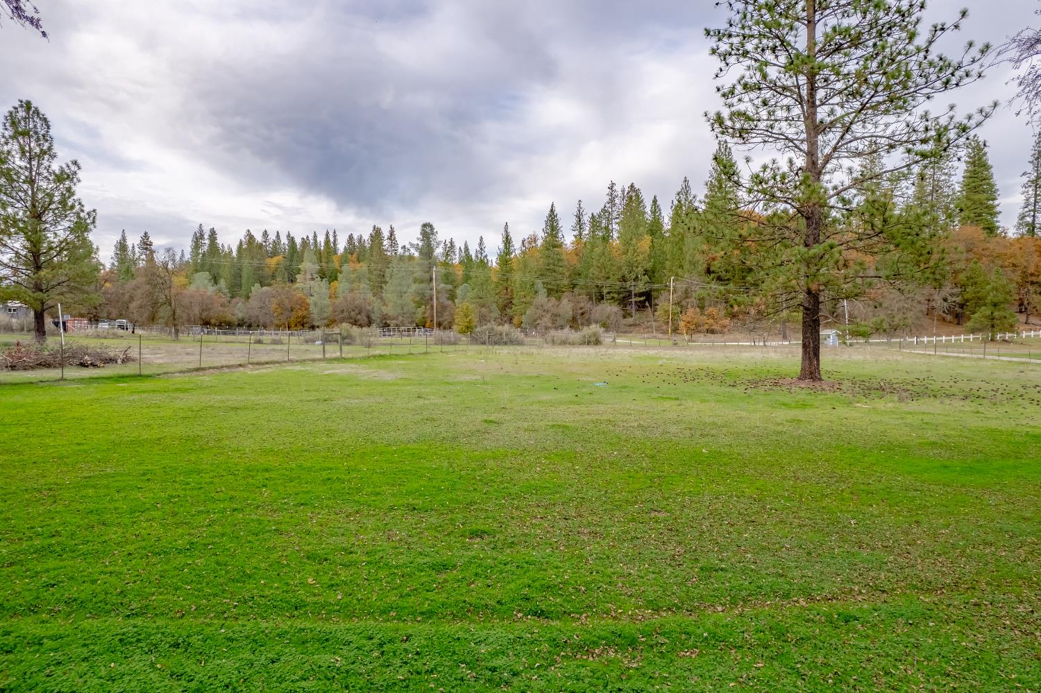 12987 Hidden Valley Road Grass Valley, CA 95949 - Photo 25 of 36 a view of field with trees in the background