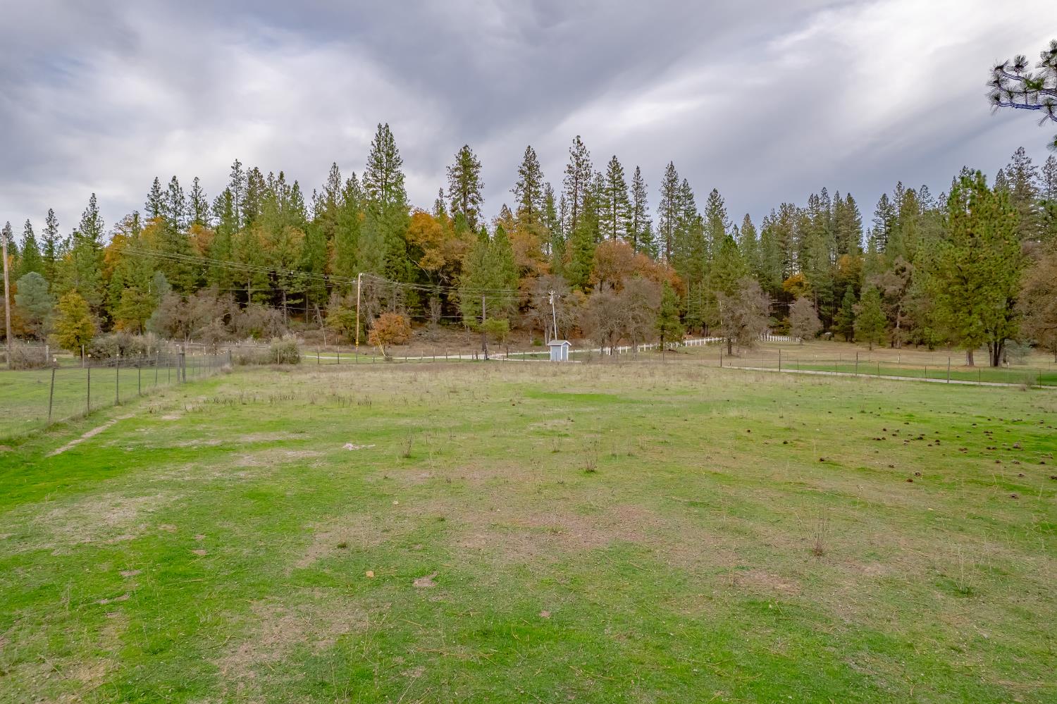 12987 Hidden Valley Road Grass Valley, CA 95949 - Photo 32 of 36 a view of a field with trees in the background