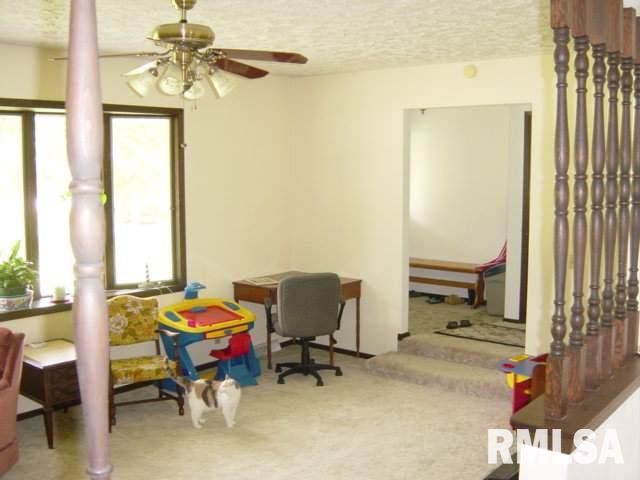 137 Rustic Lake Drive Colona, IL 61241 - Photo 8 of 9 Gallery Image 8