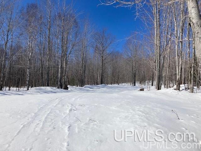 Tbd Worham Road Chassell, MI 49916 - Photo 27 of 45 Gallery Image 27