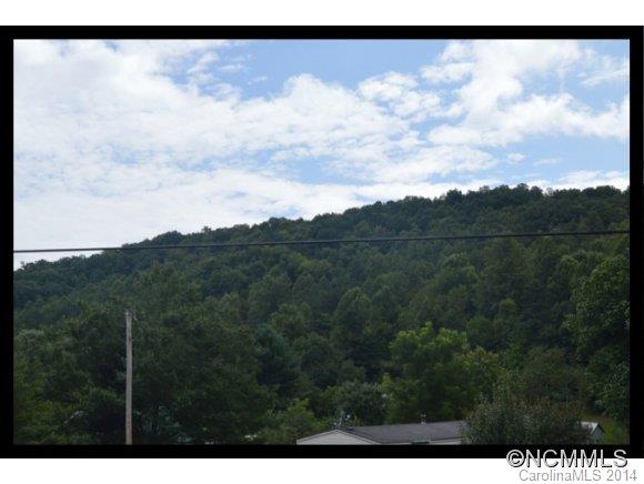 352 South Morgan Branch Road Candler, NC 28715 - Photo 13 of 17
