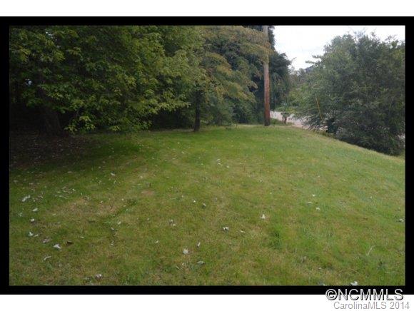 352 South Morgan Branch Road Candler, NC 28715 - Photo 14 of 17