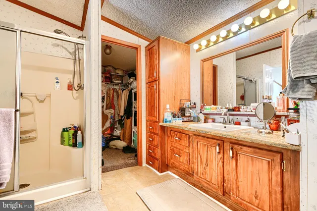 a bathroom with a sink a mirror and a shower
