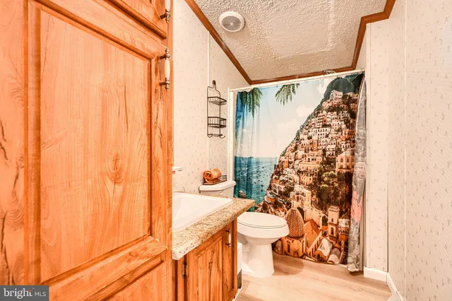 a bathroom with a toilet and shower curtain