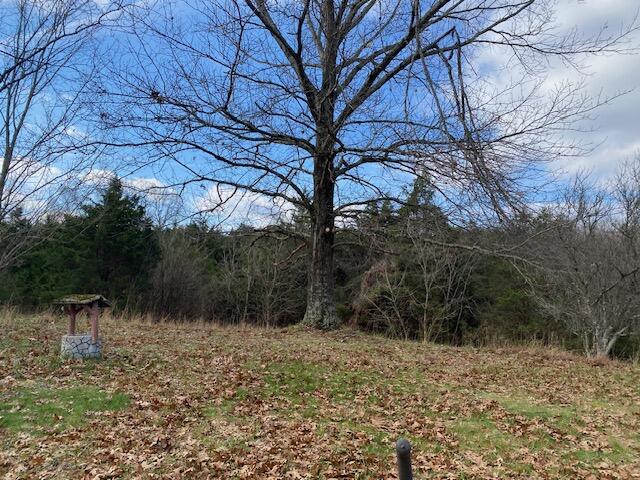1080 Palmer Road Mount Eden, KY 40046 - Photo 5 of 34 5