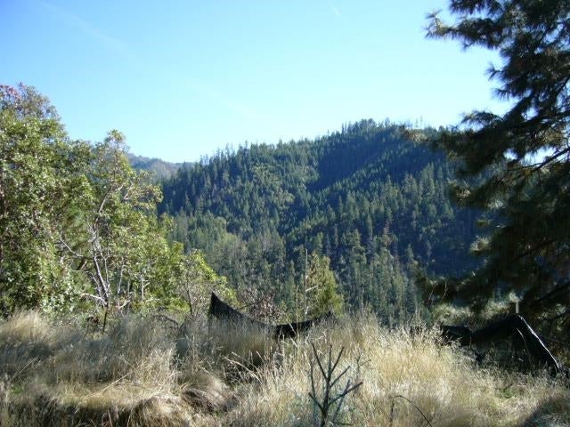 122 Acres Off Usfs Road Happy Camp, CA 96039 - Photo 21 of 25 Gallery Image 21