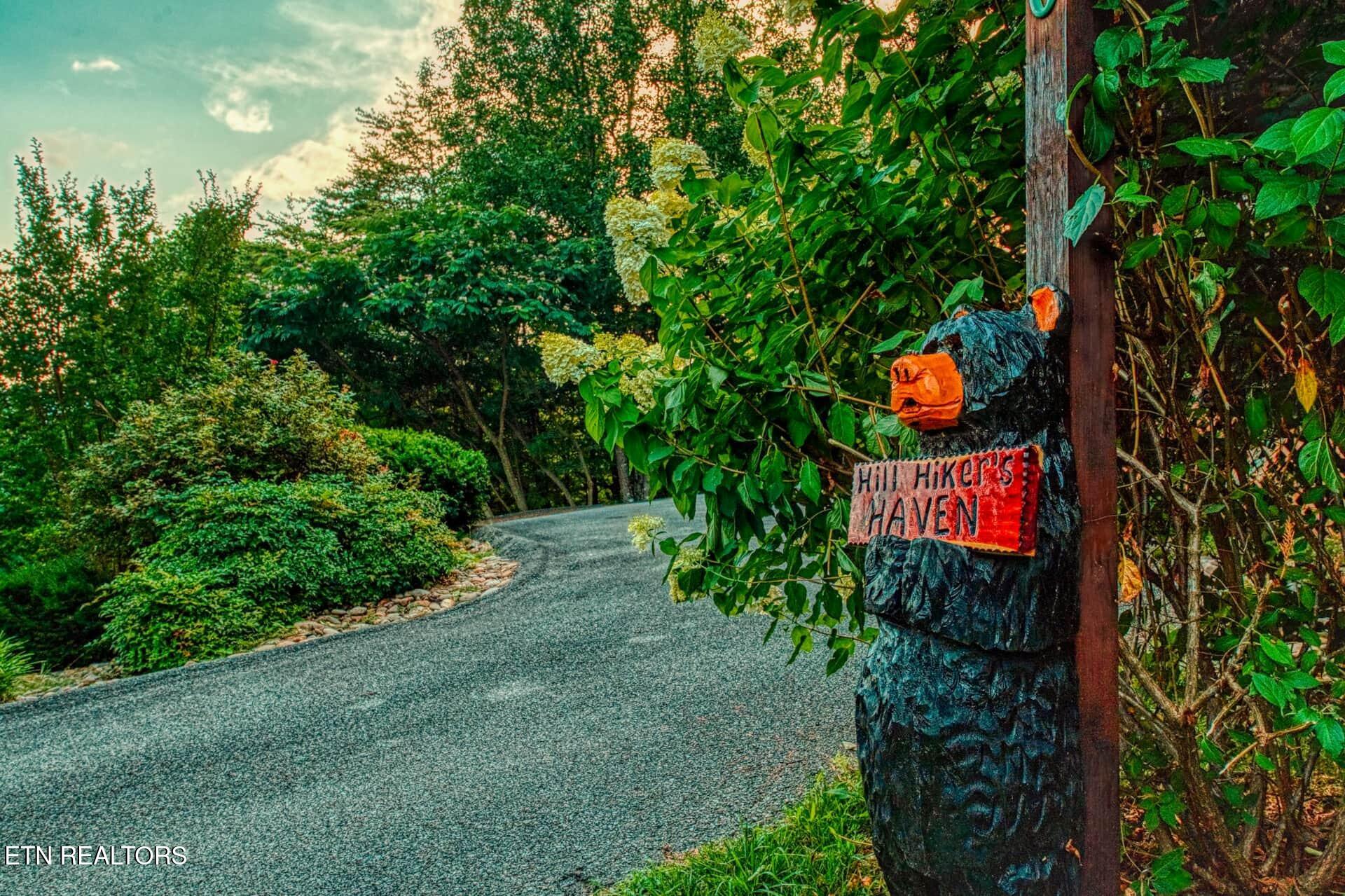 210 Meghans Way Townsend, TN 37882 - Photo 8 of 52 mw49