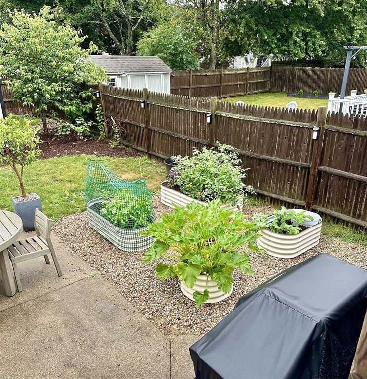 53 Winfield Street Dedham, MA 02026 - Photo 29 of 30