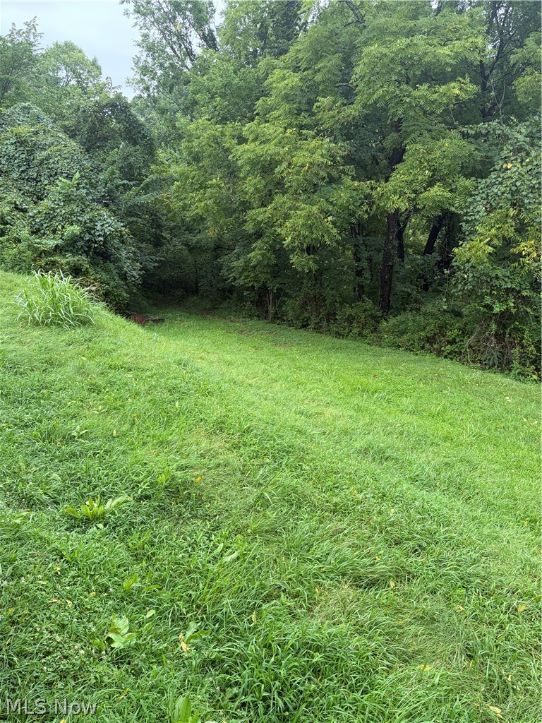1215 California Ridge Road Belleville, WV 26133 - Photo 17 of 25 Gallery Image 17