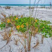 753 Spring Valley Drive Melbourne, FL 32940 - Photo 83 of 96 i3dgTasz