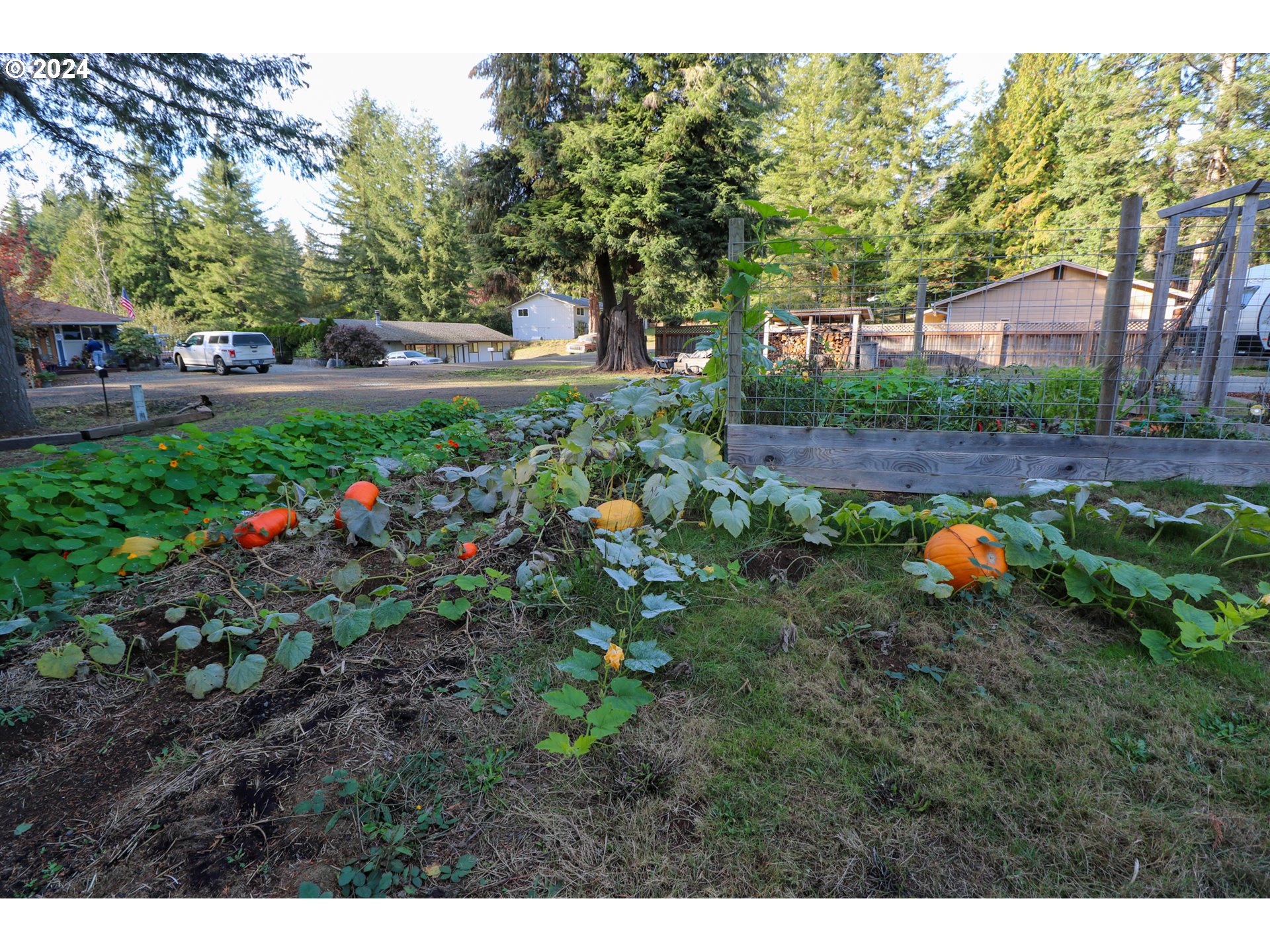 57151 Gladewood Road Coquille, OR 97423 - Photo 20 of 41 Gallery Image 20
