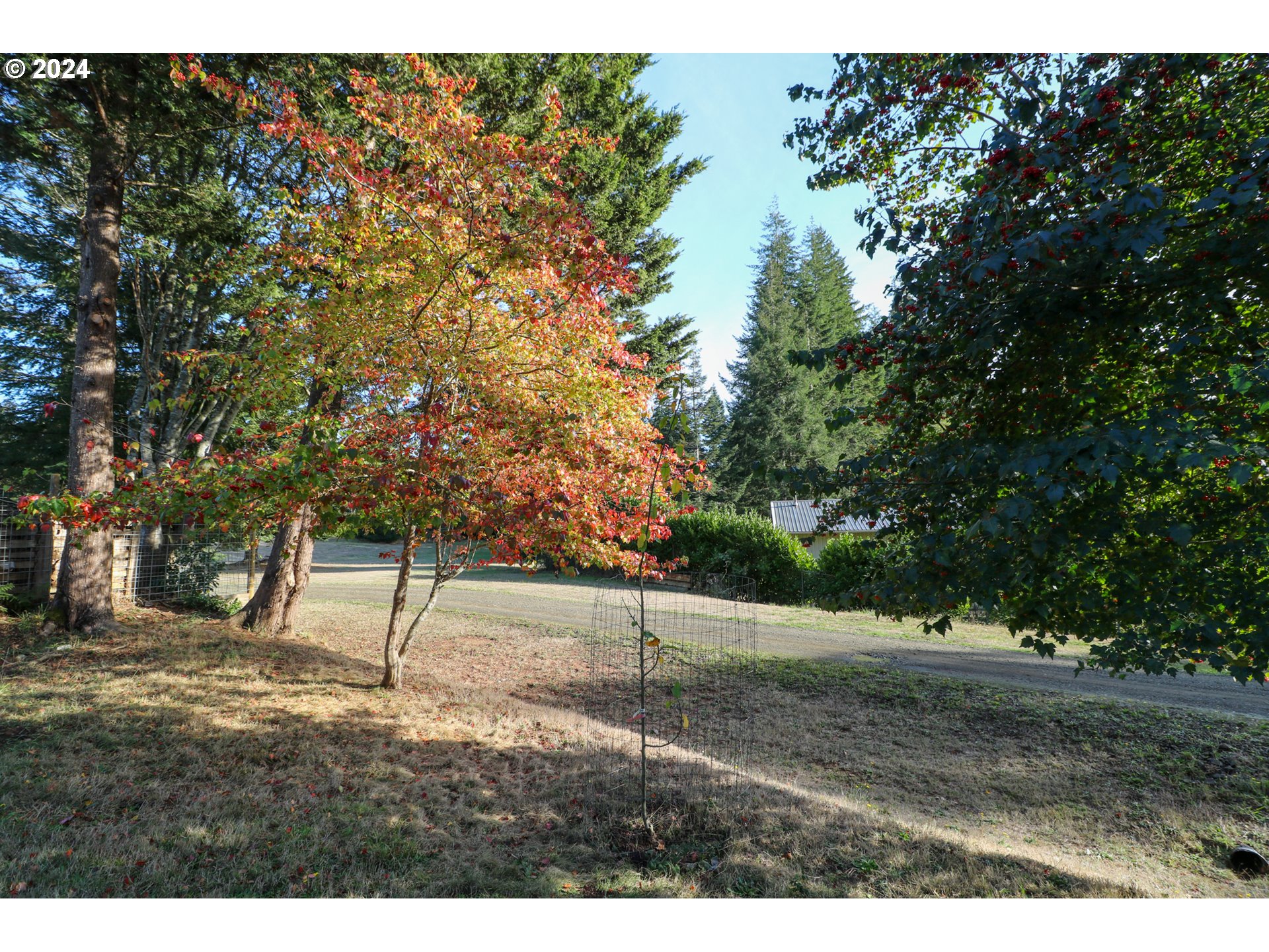 57151 Gladewood Road Coquille, OR 97423 - Photo 27 of 41 Gallery Image 27