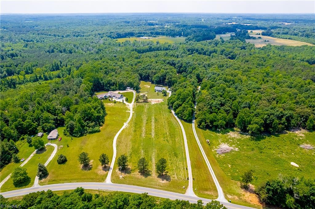 6484 Alamance County Line Road Liberty, NC 27298 - Photo 9 of 50 Gallery Image 9