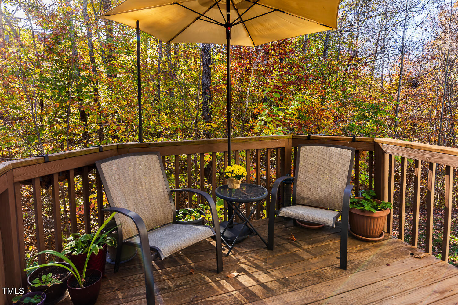 200 Grey Elm Trail Durham, NC 27713 - Photo 12 of 37 200 Grey Elm Trail-16