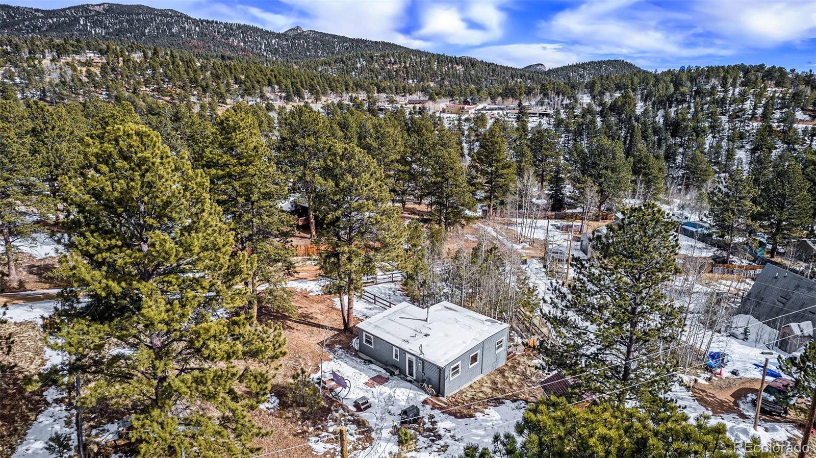 25 Harris Street Bailey, CO 80421 - Photo 13 of 16 Gallery Image 13
