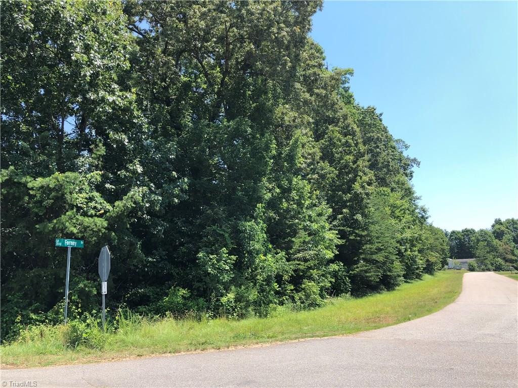 0 Tabor Road Olin, NC 28660 - Photo 1 of 4 Gallery Image 1