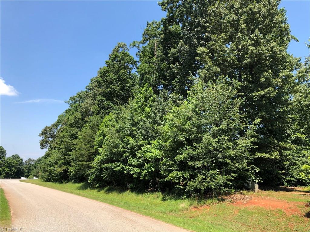 0 Tabor Road Olin, NC 28660 - Photo 3 of 4 Gallery Image 3