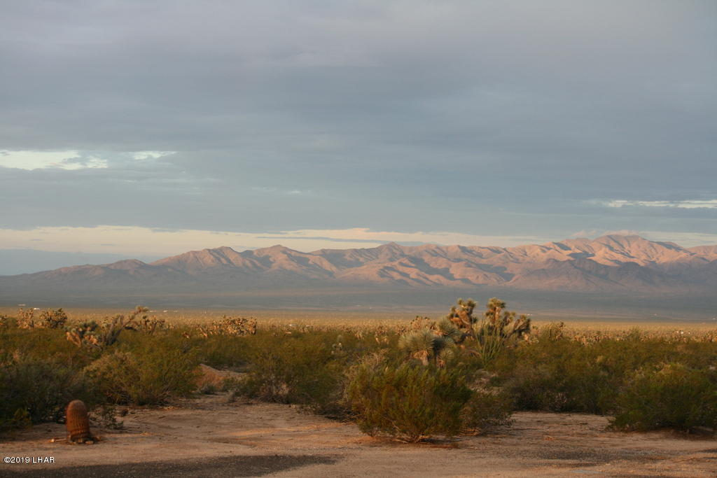 2071 South Cheyenne Road Yucca, AZ 86438 - Photo 3 of 13 60-IMG_2586