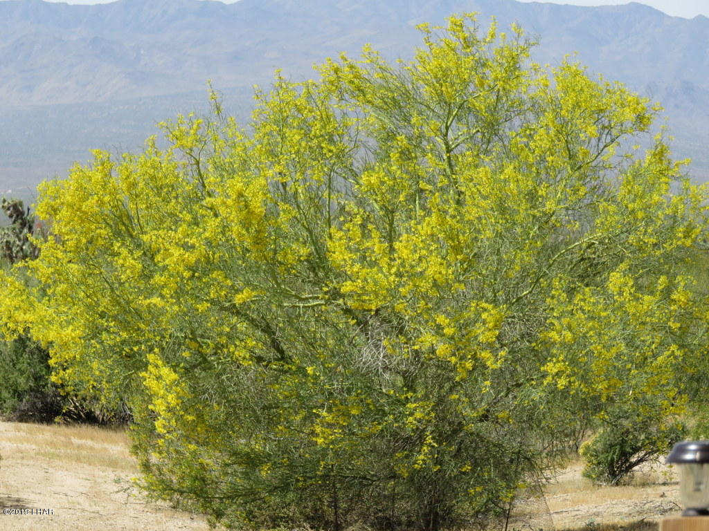 2071 South Cheyenne Road Yucca, AZ 86438 - Photo 6 of 13 11-IMG_2499