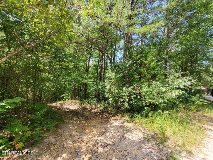 0 Bowater Road Pikeville, TN 37367 - Photo 1 of 8 1