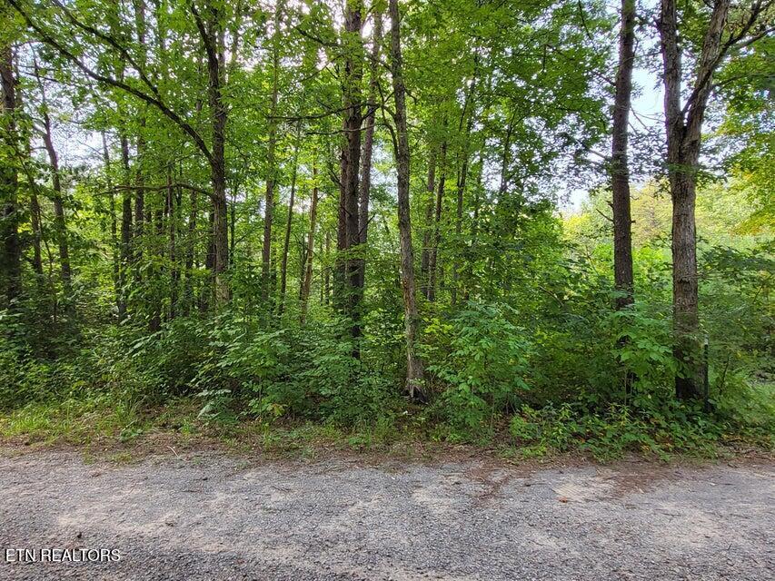 0 Bowater Road Pikeville, TN 37367 - Photo 2 of 8 2