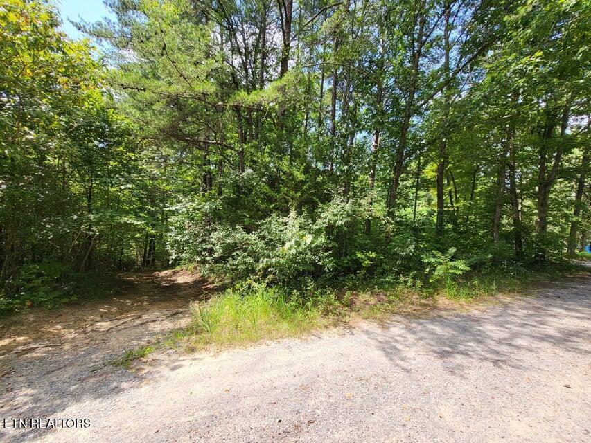 0 Bowater Road Pikeville, TN 37367 - Photo 3 of 8 3