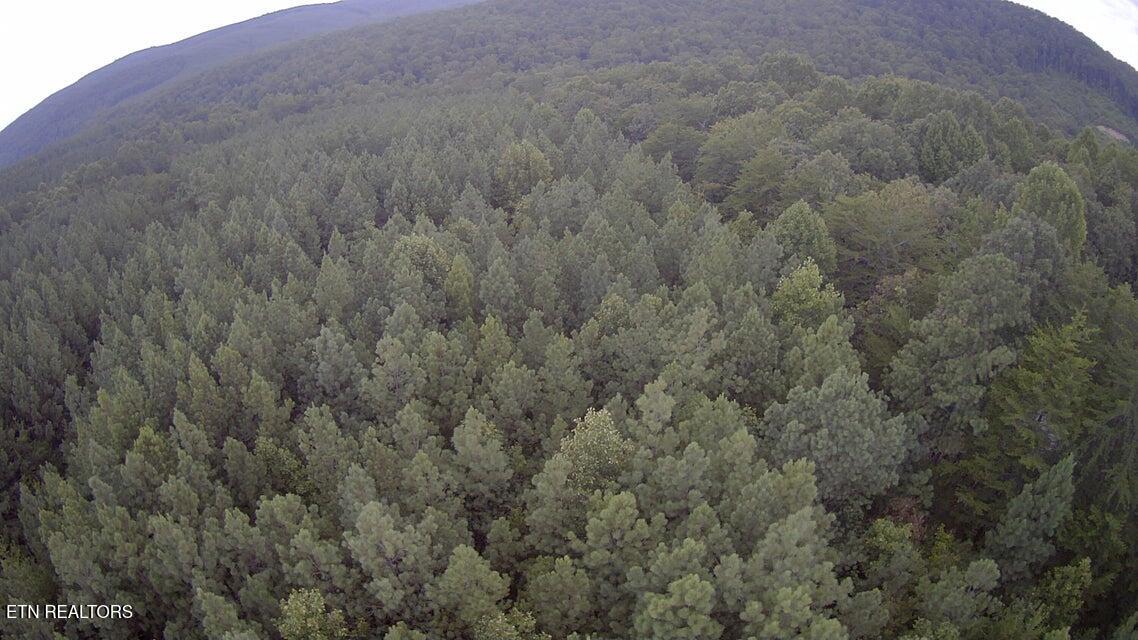 0 Bowater Road Pikeville, TN 37367 - Photo 7 of 8 7