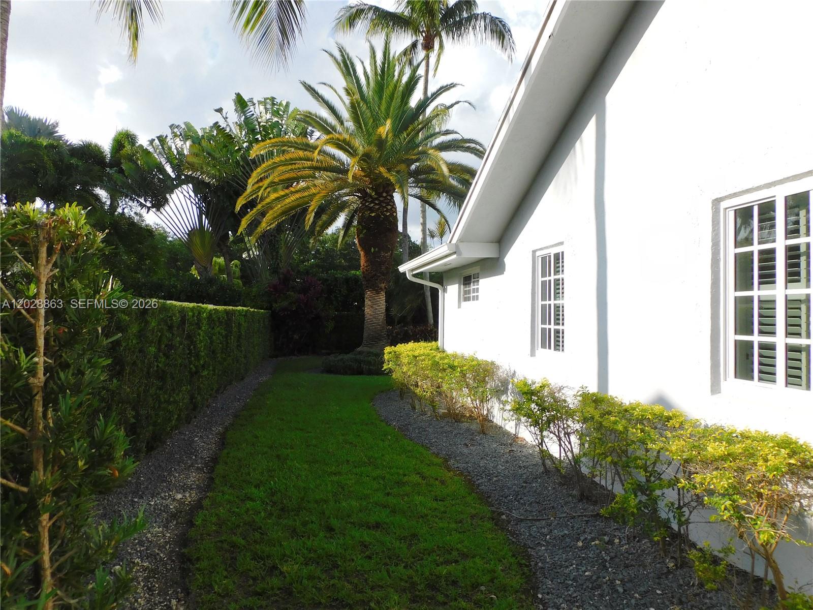 15351 Southwest 146th Street Miami, FL 33196 - Photo 71 of 86 Privacy Porto Corpus Hedge throughout the entire patio fence perimeter.