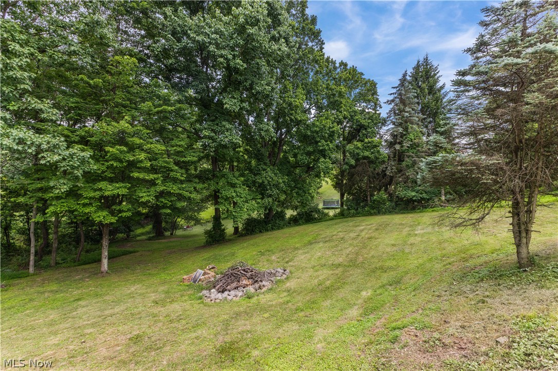140 Iris Lane Colliers, WV 26035 - Photo 9 of 47