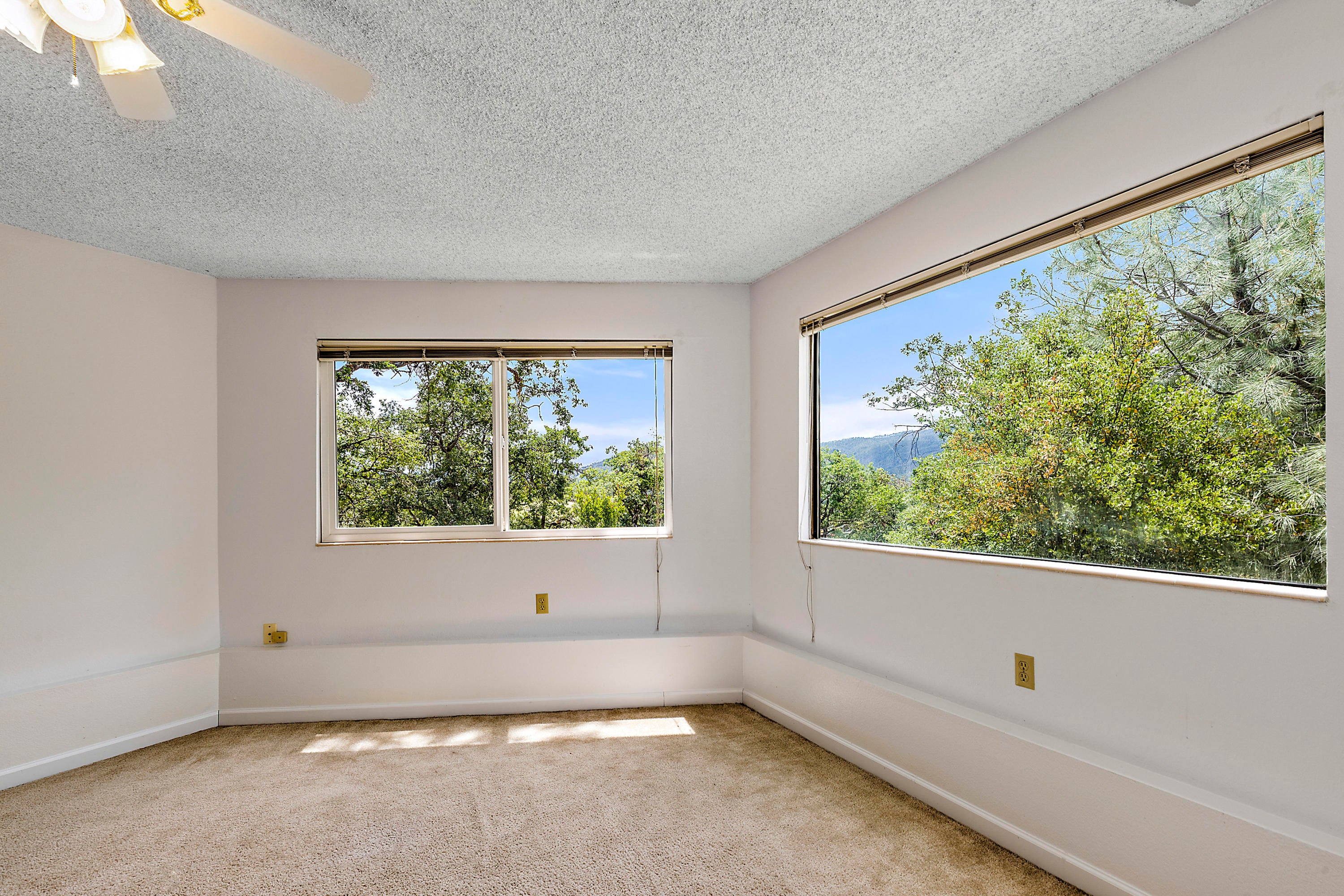 6038 Tolo Road Central Point, OR 97502 - Photo 34 of 65 Downstairs Bedroom