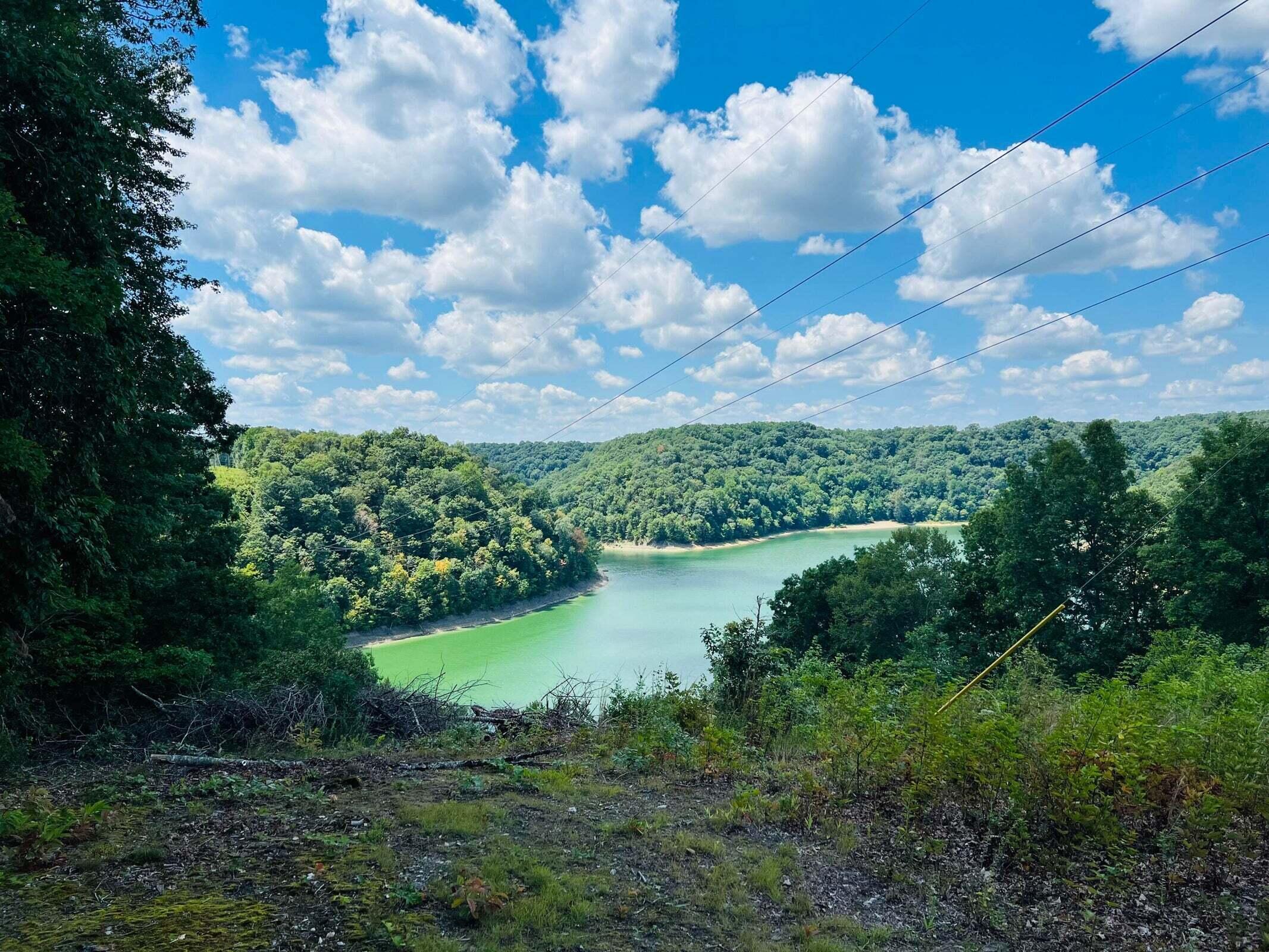 162 Dockery Road Russell Springs, KY 42642 - Photo 11 of 17 20230802180512183700000000-o