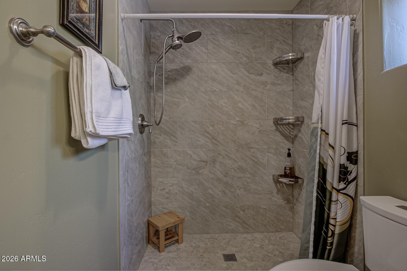 3762 Watertank Road Pine, AZ 85544 - Photo 17 of 38 a bathroom with a shower and toilet